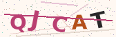 Security code image – type the characters shown