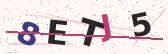 Security code image – type the characters shown