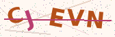 Security code image – type the characters shown