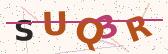 Security code image – type the characters shown