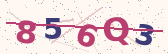Security code image – type the characters shown