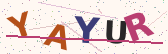 Security code image – type the characters shown