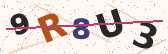 Security code image – type the characters shown